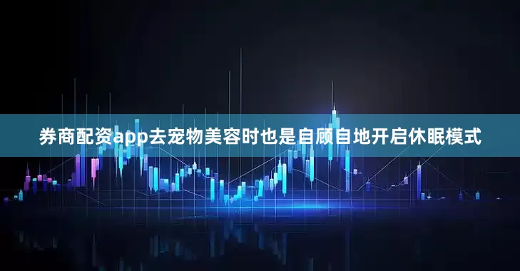 券商配资app去宠物美容时也是自顾自地开启休眠模式