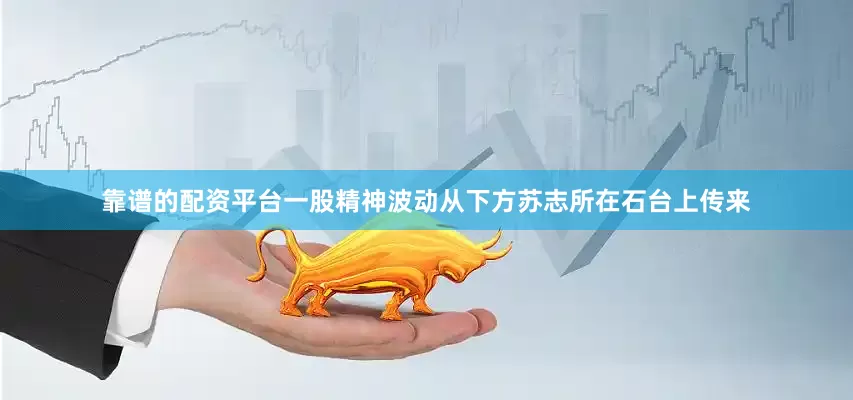 靠谱的配资平台一股精神波动从下方苏志所在石台上传来