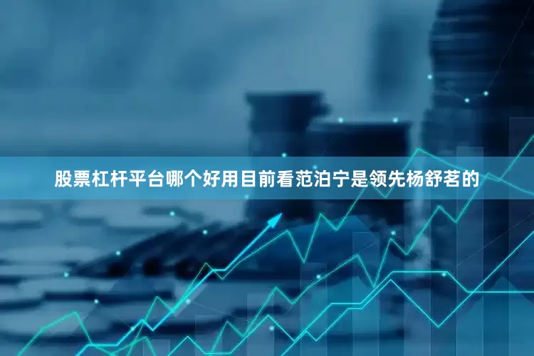 股票杠杆平台哪个好用目前看范泊宁是领先杨舒茗的